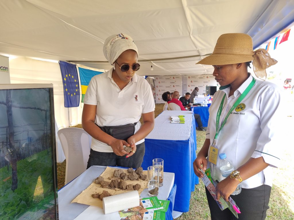 Agroforestry Project