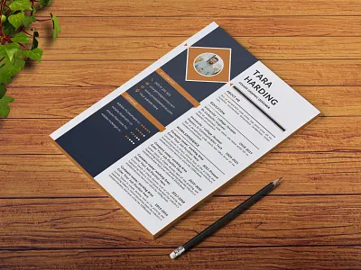 Professional CV Designing